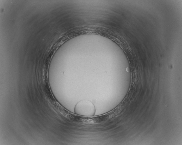 X0000085250698200703090948