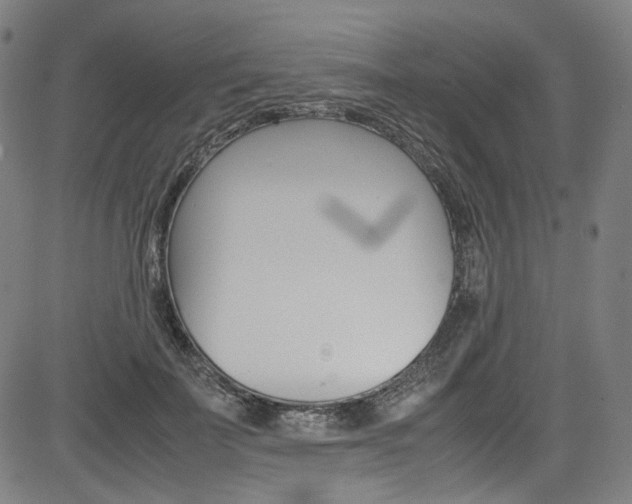 X0000085250699200703090948