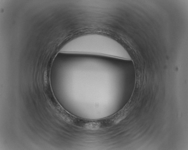 X0000085250700200703090948