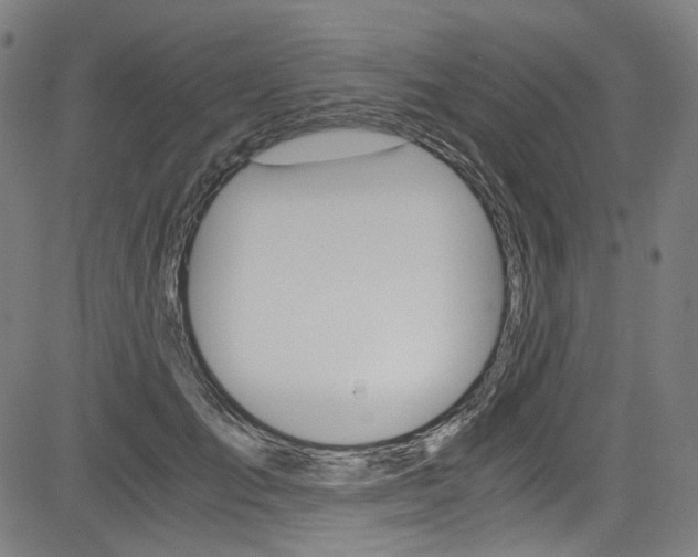 X0000085250701200703090948