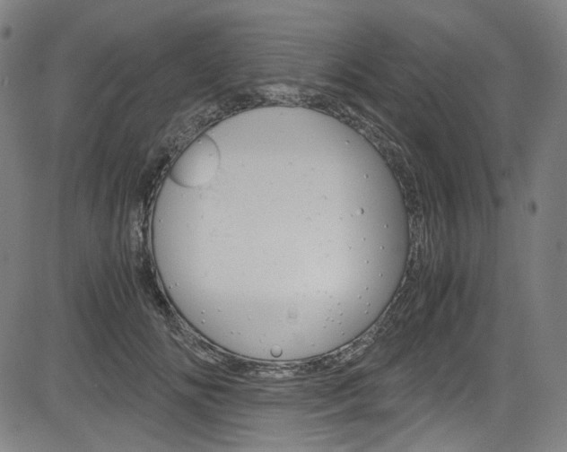 X0000085250702200703090948