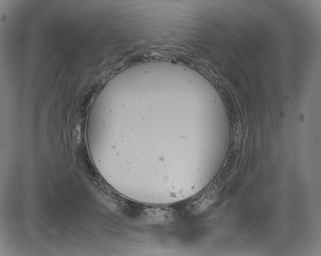 X0000085250703200703090948