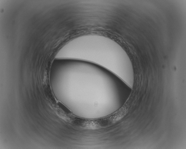 X0000085250704200703090948