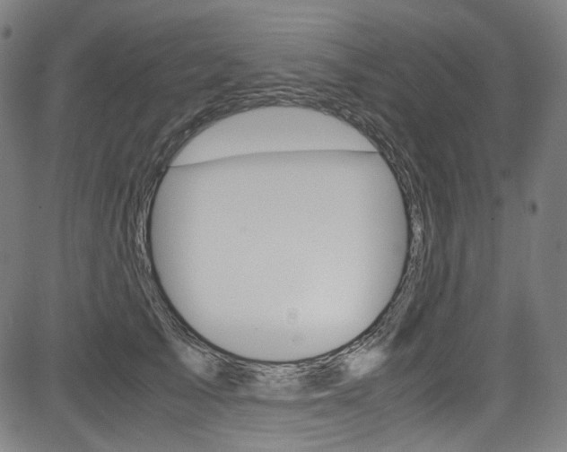 X0000085250705200703090948