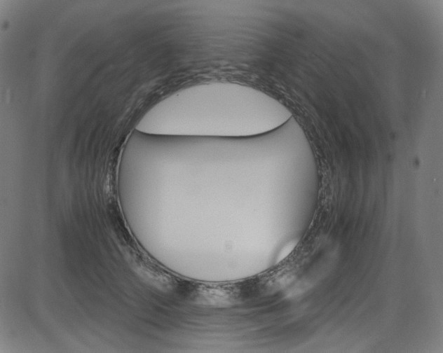 X0000085250706200703090948