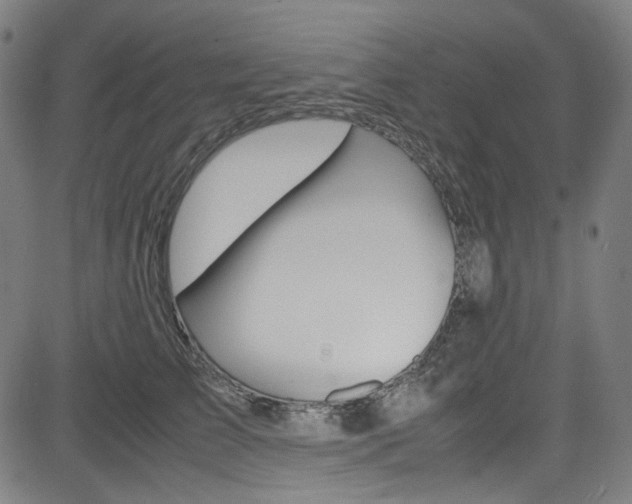 X0000085250709200703090948