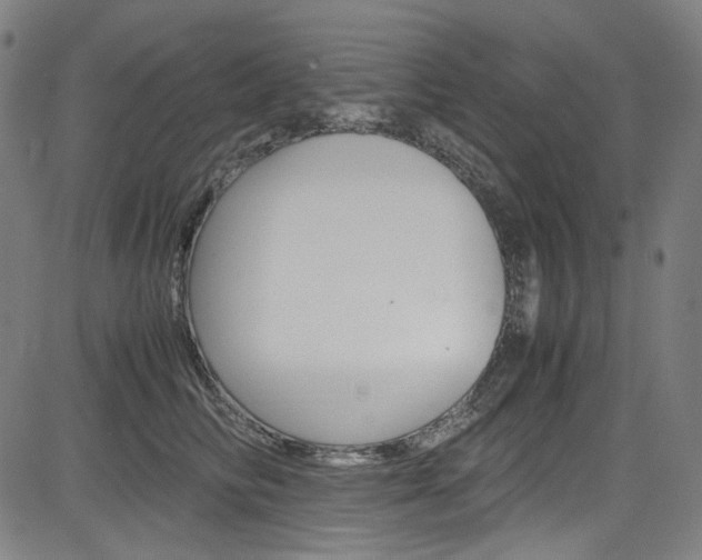 X0000085250710200703090948