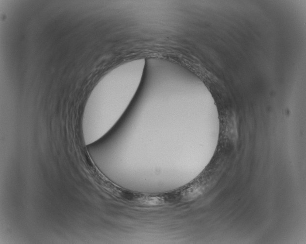 X0000085250711200703090948