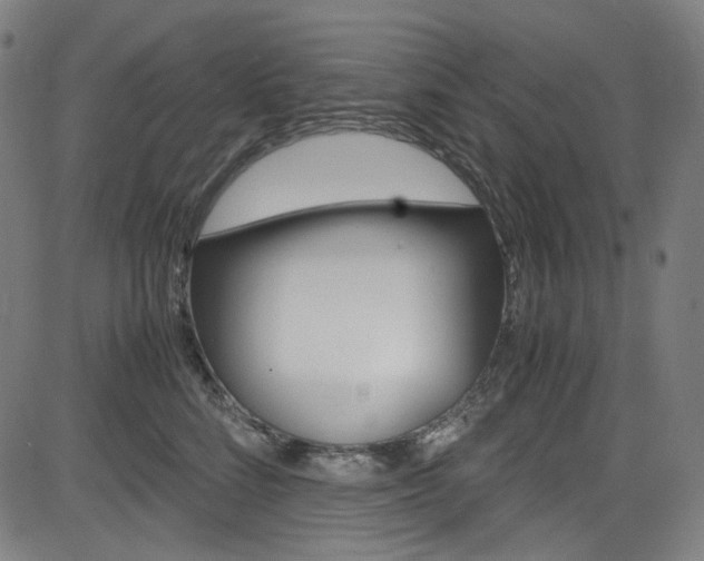 X0000085250712200703090948