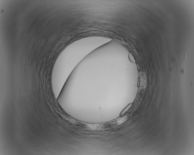 X0000085250713200703090948