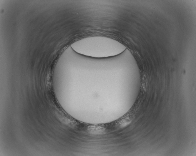 X0000085250714200703090947