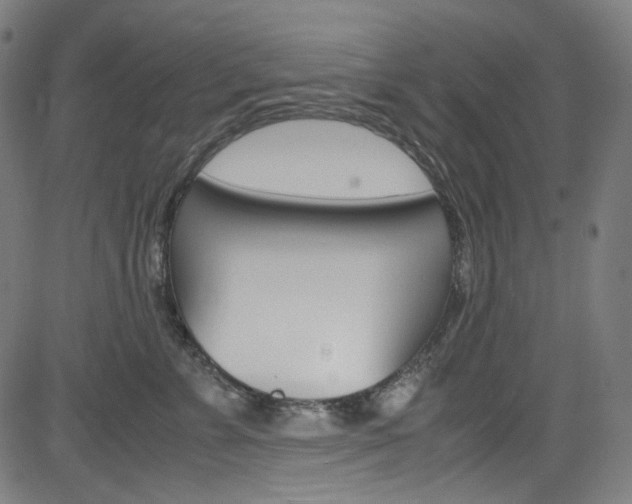 X0000085250715200703090947