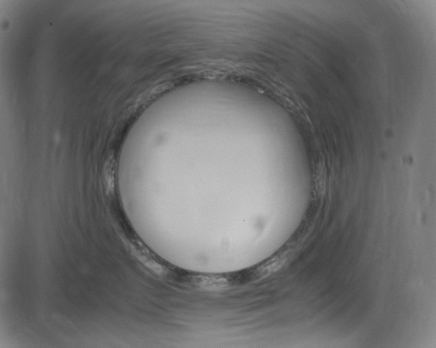 X0000085250719200703090947