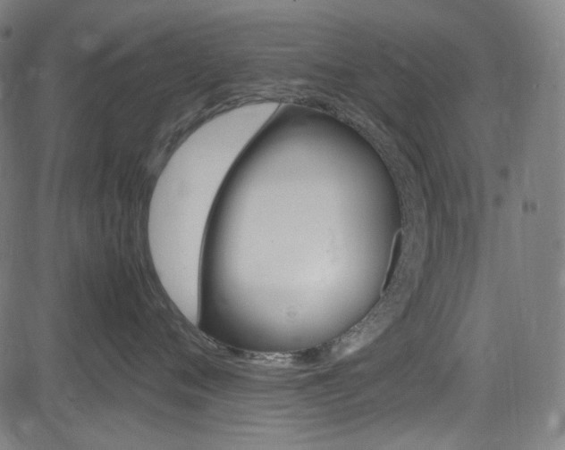 X0000085250720200703090947