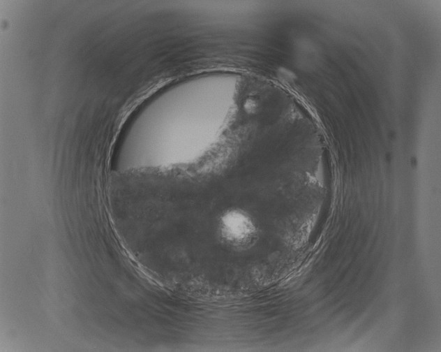 X0000085250721200703090947