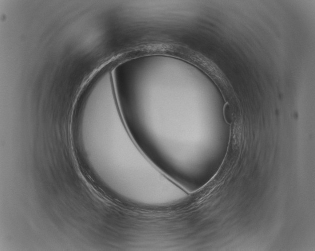 X0000085250722200703090947