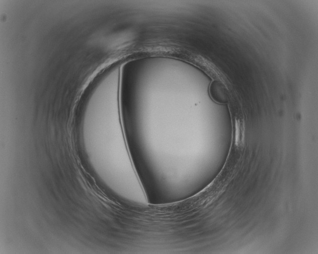 X0000085250723200703090947