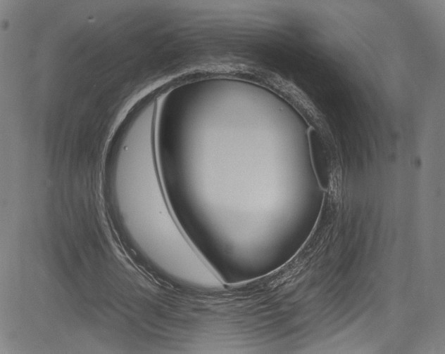 X0000085250724200703090947