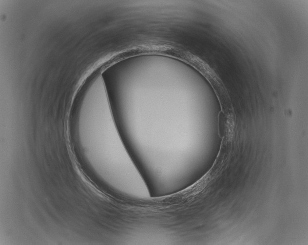 X0000085250726200703090947