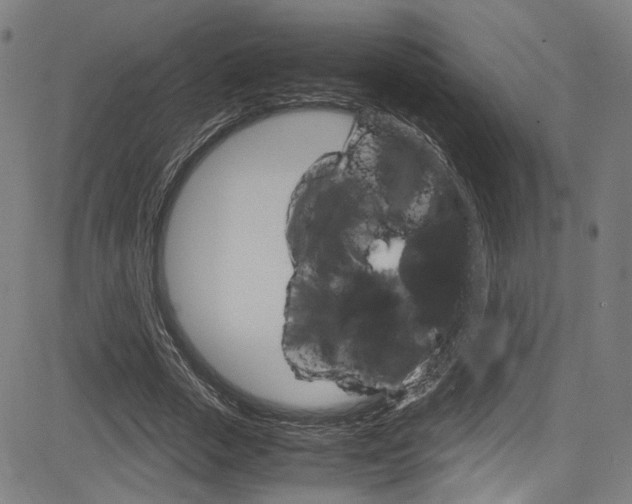 X0000085250729200703090947