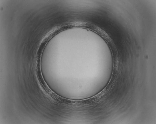 X0000085250730200703090947