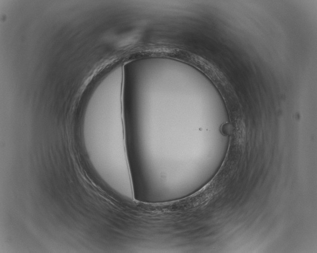 X0000085250731200703090947