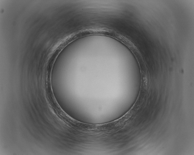 X0000085250732200703090947