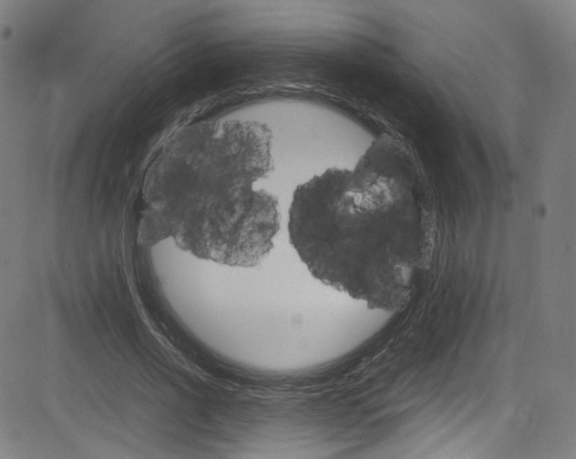 X0000085250734200703090947