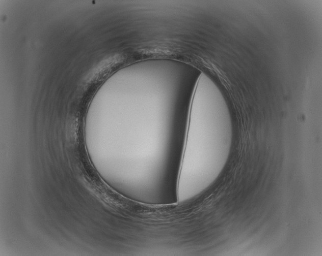 X0000085250735200703090947