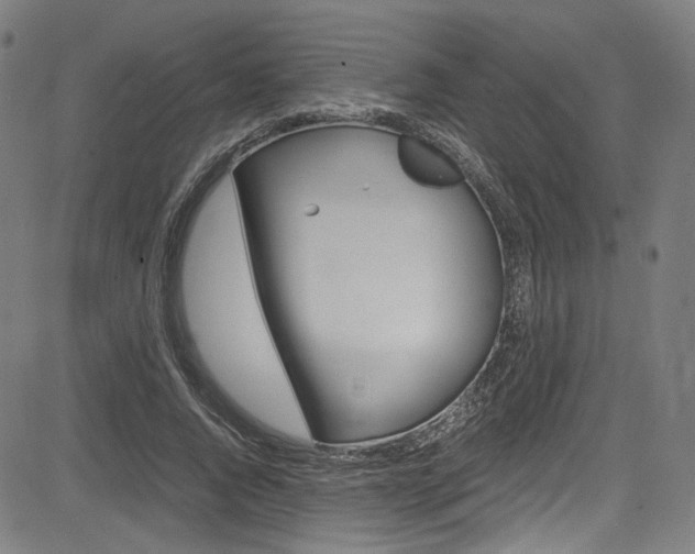 X0000085250736200703090947