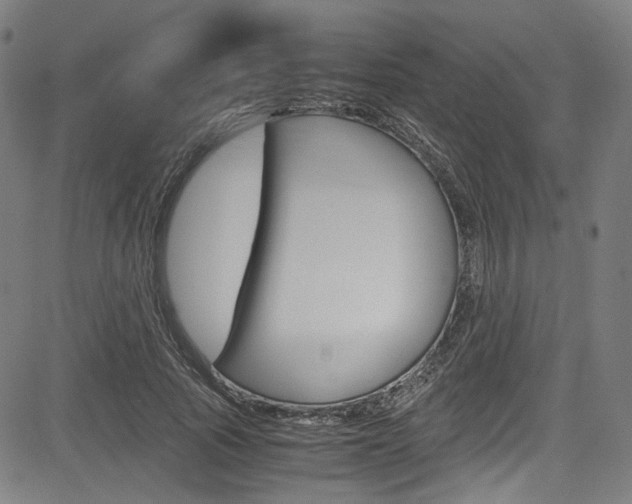 X0000085250737200703090947