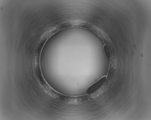 X0000085250740200703090947