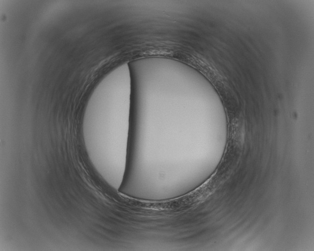 X0000085250741200703090947