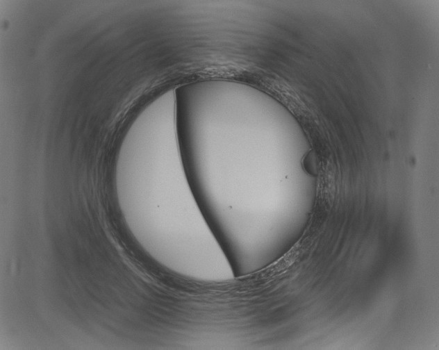 X0000085250742200703090947