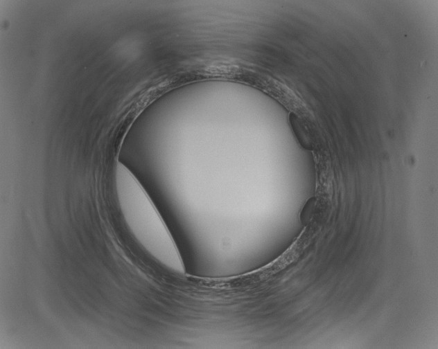 X0000085250744200703090947