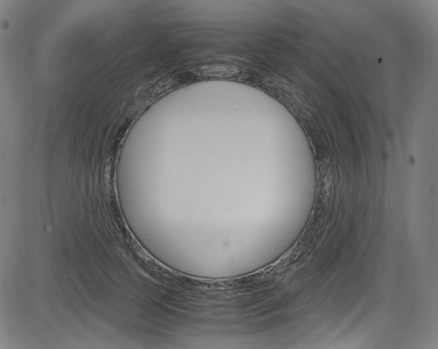 X0000085250745200703090947