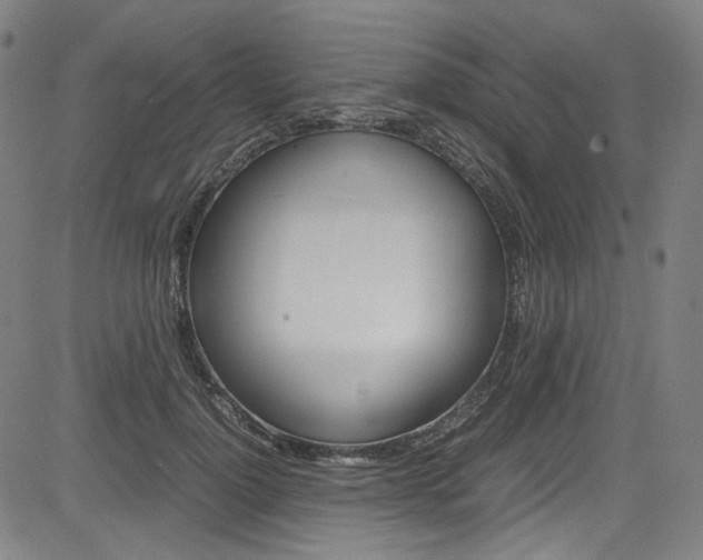 X0000085250748200703090947