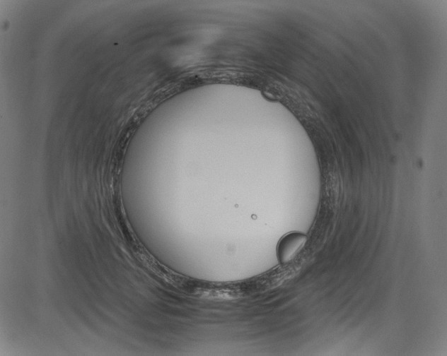 X0000085250751200703090947