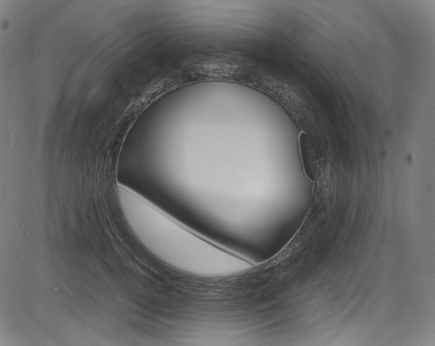 X0000085250752200703090947