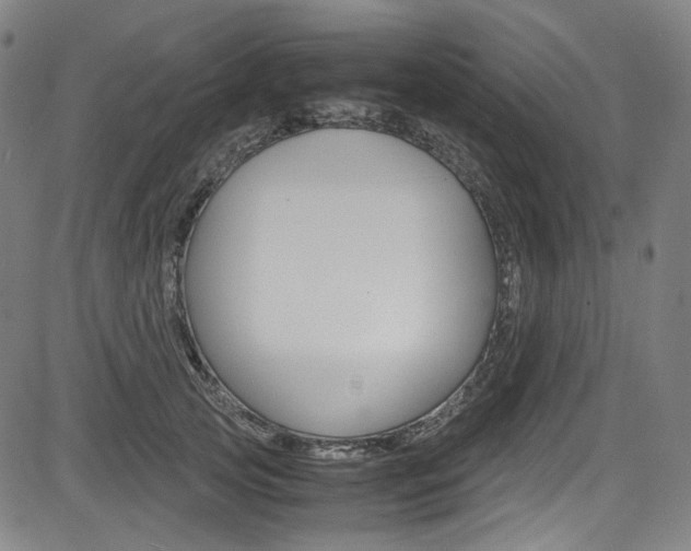 X0000085250753200703090947