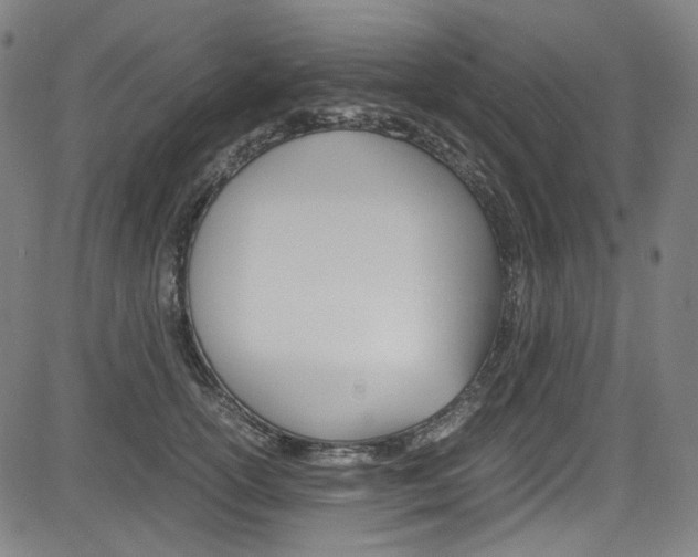 X0000085250754200703090947