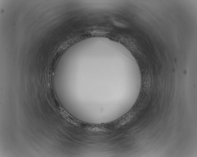 X0000085250755200703090947