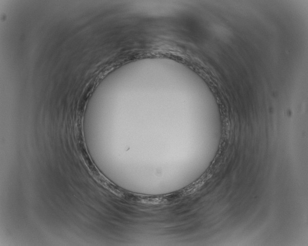 X0000085250757200703090947