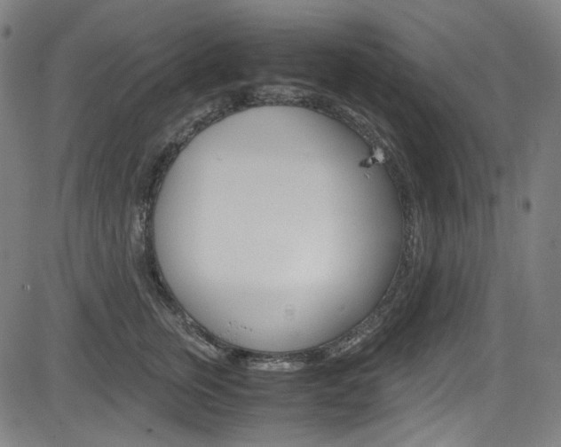 X0000085250759200703090947