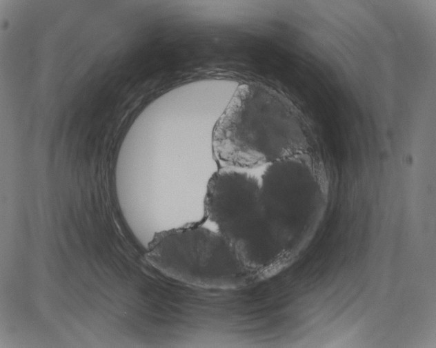 X0000085250761200703090947