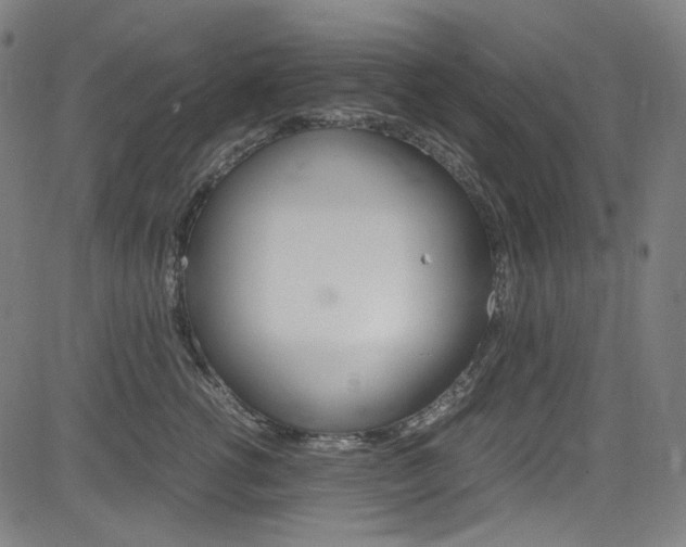 X0000085250762200703090947