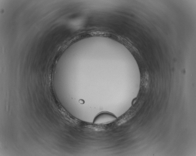 X0000085250763200703090947