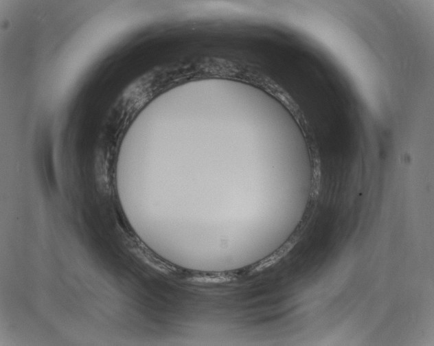 X0000085250765200703090947