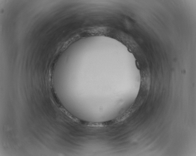 X0000085250767200703090947