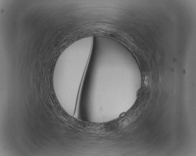 X0000085250771200703090947